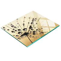 Tempered Glass Kitchen Backsplash with Decorative Dandelion Graphic 60X52 Cm