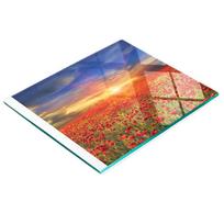 Kitchen Multifunctional Decorative Board Tempered Glass Poppy Field 60X52 Cm