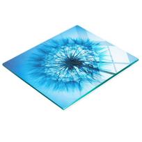Tempered Glass Kitchen Backsplash with Decorative Dandelion Graphic 60X52 Cm