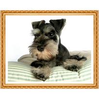Cross Stitch Cute Gray Lovely Dog Crystal Needlework Diamond Embroidery Full Diamond Decor 20X30CM