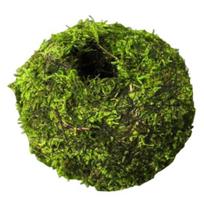 Samanų rutulio gėlių vazonas, natūraliai žalias bonsai augalų laikiklis, dekoratyvus samanų rutulio vazonas namams, sodui, vestuvių vakarėlio dekoravimui 7cm