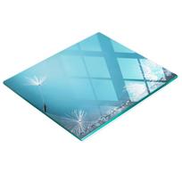 Tempered Glass Kitchen Backsplash with Decorative Dandelion Graphic 60X52 Cm