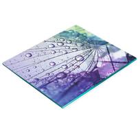 Glass Kitchen Board for Serving with Dandelion Flower Graphic 60X52 Cm