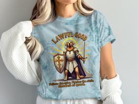 Lawful Good T-Shirt Dog Knight Shield Sword Funny Graphic Tee Gift for Pet Lovers Unisex Casual Top Graphic Print, Tabletop RPG Shirt 2XL