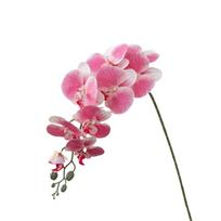 9 Head Artificial Phalaenopsis Branches Real Touch Realistic Fake Flowers Handmade Simulation Plant Office Desktop