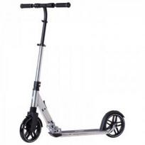 Paspirtukas Rideoo 200 Pro City Silver