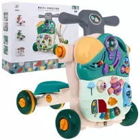 Daugiafunkcinė vaikštynė "Rider"