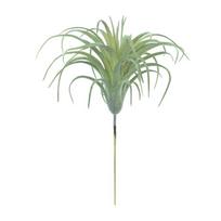 Realistic Faux Tillandsia Succulents Artificial Air Plant For Indoor Home Office Green Plant for Shelf Desk Decoration