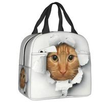 Funny Kitten Tabby Cat Lunch Box Thermal Cooler Food Insulated Lunch Bag for Women School Work Picnic Reusable Tote Bags One Size
