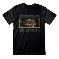 The Unisexdalorian Baby Yoda The Child Cute Licensed TShirt Unisexs L