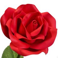Rose Head without Rod Carved Foam Oversized Artificial Flower Heads for Visual