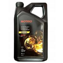 Oil 5W30 5L MOTRIO Renault 8660005020 Premium Synthetic 5W-30 - GTU_03