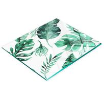 Tempered Glass Kitchen Backsplash With Decorative Palm Tree And Leaves Graphic 60X52 Cm