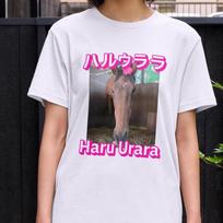 Haru Urara Shirt, Haru Urara Clothing, Haru Urara Fan Gift Apparel, Japanese Shirt, Japan Shirt, Racehorse Shirt, Cute Horse Shirt S