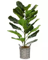 Dirbtinis augalas FIDDLE LEAF TREE 72 cm, žalias