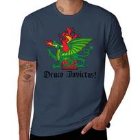 Green Fire Breathing Dragon Draco Invictus Midrealm Strong Tshirt Perforunisexce Dry Fit Tshirt S