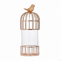 Glass Vase with Metal Frame Tone Cylinder Cage Elegant Vessel for Interior