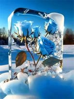 Full Square Diamond Painting Rose Cross Stitch Kits Diamond Mosaic Flower Embroidery Snow Handmade Hobby Full Round 20X30CM