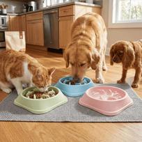 Food Grade Pet Slow Feeder Bowl Large Capacity Pet Anti Choke Bowl  Indoor Pet Meal Time mėlyna