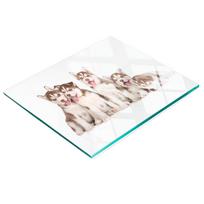 Decorative Glass Kitchen Cutting Board Husky Puppies 60X52 Cm