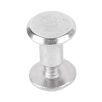 100 Sets Rivet and Screw M2.5 Stainless Steel Flat Round Head Rivet Studs for Clothing Decoration Leather Crafts