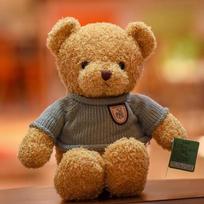 Cute Hug Bear Teddy Bear Doll Doll Sleeping with Clothes Bear Rag Doll Plush Toy Gift 30cm