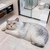 Realistic Bathroom Carpet Diatomaceous Earth Bedroom Door Rug 3D Cat Floor Mat  Home Decor 40×60CM-Style-D