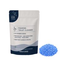 Foaming Toilet Cleaner 100g - for Toilet Bowl Cleaning One Size