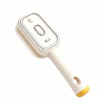 Rechargeable Spray Massage Comb for Hair Detangling and Smoothing smėlis
