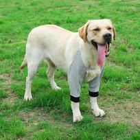 Dog Knee Pads Leg Protector Comfortable Dogs Brace Auxiliary Fixed L pilka spalva