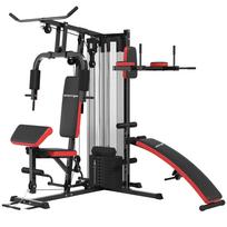 Multi Gym Workout Station, Weight Machine with 65kg Weight Stack, Sit Up Bench, Push Up Stand, Dip Station 225 x 175 x 200 cm juoda