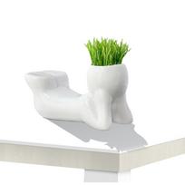 Mini bonsai galvos žolės plaukai balti keraminiai augalų sodai, medžio lėlės vazonas balta