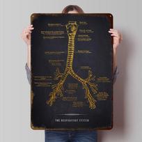 Respiratory System Tinplate Posters Customizable Wall Art Retro Vintage Metal Signs for Home Room Wand Deko Bar Accessories the 20X30CM