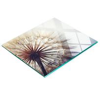 Decorative Kitchen Board Tempered Glass For Cutting Dandelion 60X52 Cm