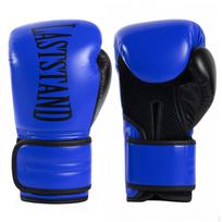 Training Boxing Gloves Reinforced Stitching Sparring Hook and Loop Strap Blue 14OZ