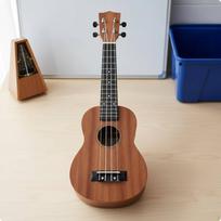 21 Inch Ukulele Easy to Play Beginner Music Education Small Guitar for Beginners, Kids,