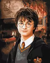 Dėlionė IDEYKA TAPYBA PAGAL SKAIČIUS RINK HARRY POTTER