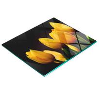 Kitchen Multifunctional Decorative Glass Board Yellow Tulips 60X52 Cm