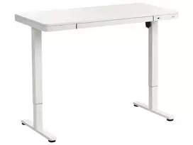 Elektriškai reguliuojamas stalas PENLY, baltas, 120 cm x 60 cm, su USB prievadu