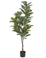 Dirbtinis augalas FICUS ELASTICA 160 cm žalias