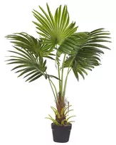 Dirbtinis augalas FAN PALM 100 cm Žalias