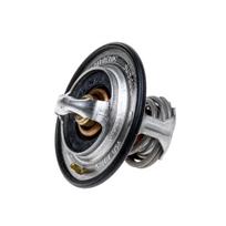 Termostatas New Holland 504384724