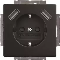 BJ 20 EUCB2USB-885 SCHUKO-/2x USB kištukinis lizdas (2CKA002011A6279)