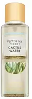 Victoria Secrets Victoria´s Secret Cactus Vanduo Fragrance Mist kūno dulksna, 250 ml