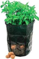 Bulvių auginimo maišas RootGrow, 33x47 cm, su rankenomis
