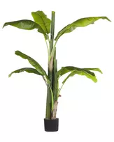 Dirbtinis augalas MUSA TREE 154 cm žalias
