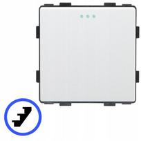 Staircase light switch 1P mechanical insert white RTX SH
