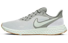 Nike Revolution 5 Platinum Tint Grey Fog BQ3204-019 44