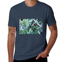 Lady Bug Tshirt Dry Fit Athletic Short Sleeve Shirt S