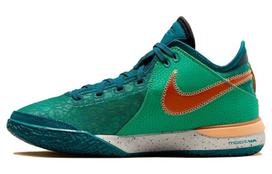 Nike Zoom LeBron Nxxt Gen 'Geode Teal' DR8784-301 45